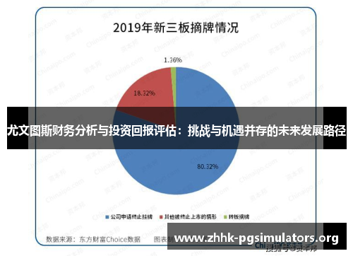 尤文图斯财务分析与投资回报评估：挑战与机遇并存的未来发展路径