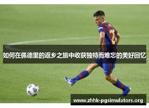 如何在佩德里的返乡之旅中收获独特而难忘的美好回忆