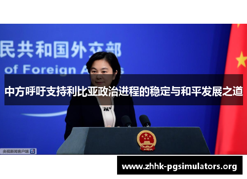 中方呼吁支持利比亚政治进程的稳定与和平发展之道
