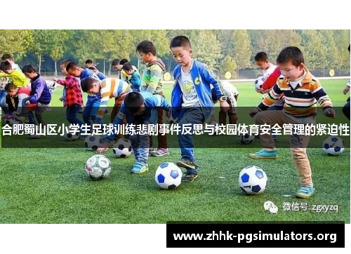 合肥蜀山区小学生足球训练悲剧事件反思与校园体育安全管理的紧迫性