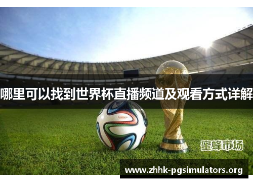 哪里可以找到世界杯直播频道及观看方式详解